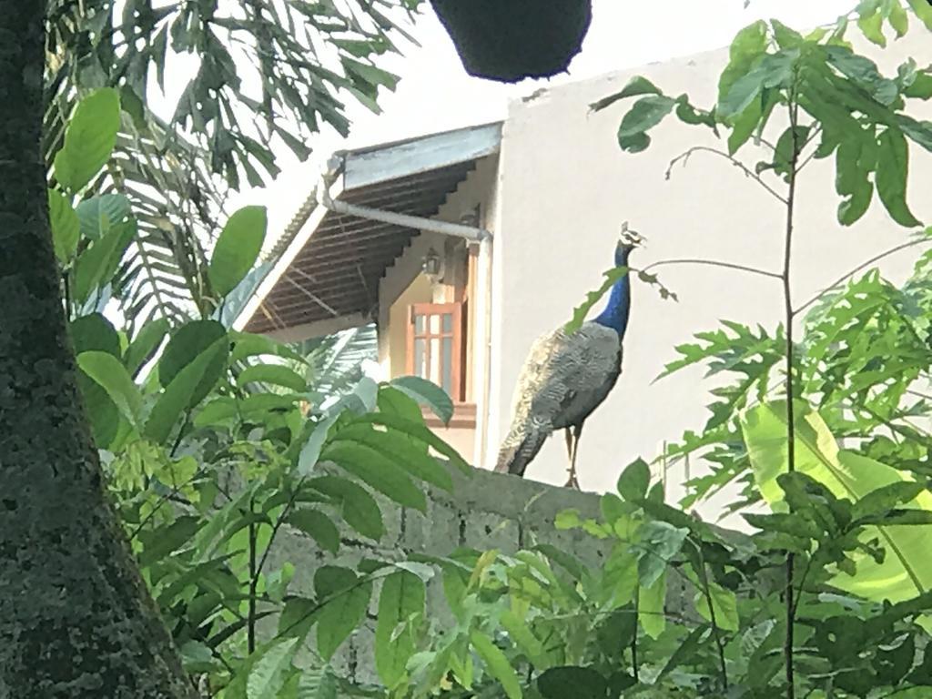 Mount Nature Villa Hikkaduwa Δωμάτιο φωτογραφία
