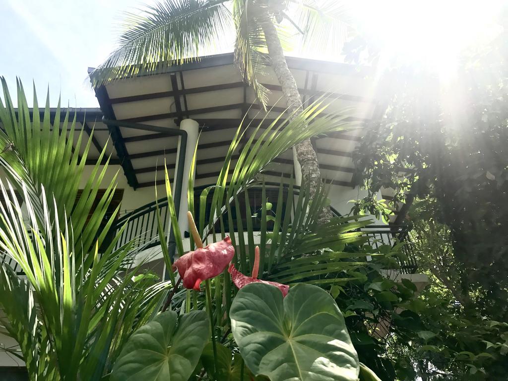 Mount Nature Villa Hikkaduwa Δωμάτιο φωτογραφία